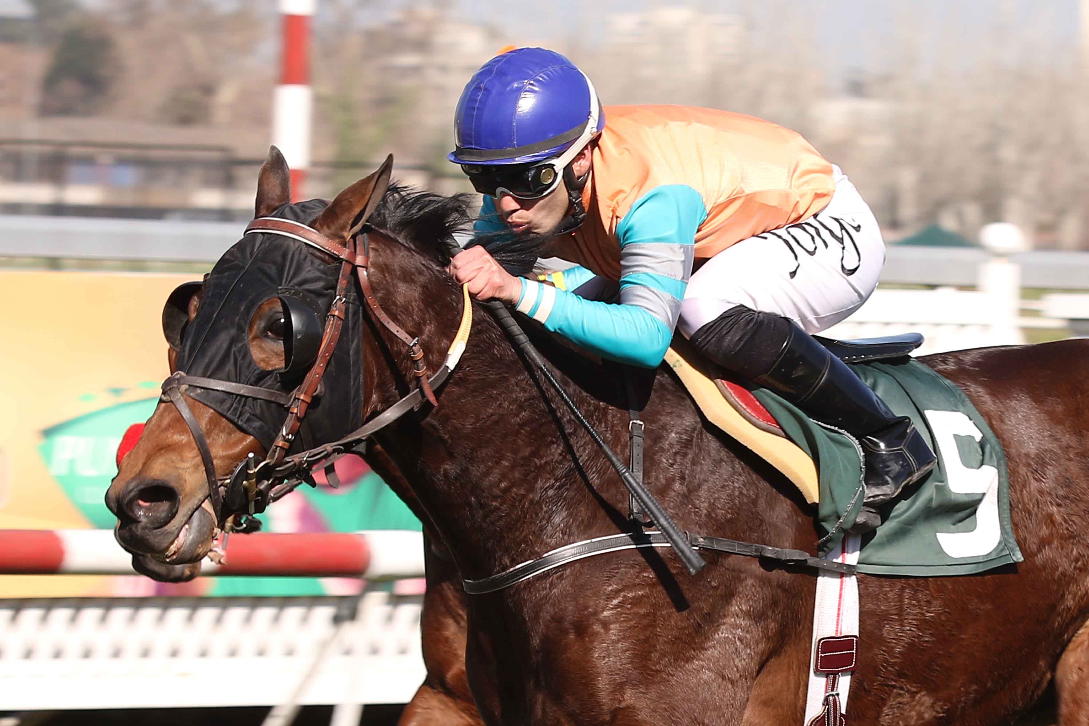 Nuevo Maestro Agustin Edwards