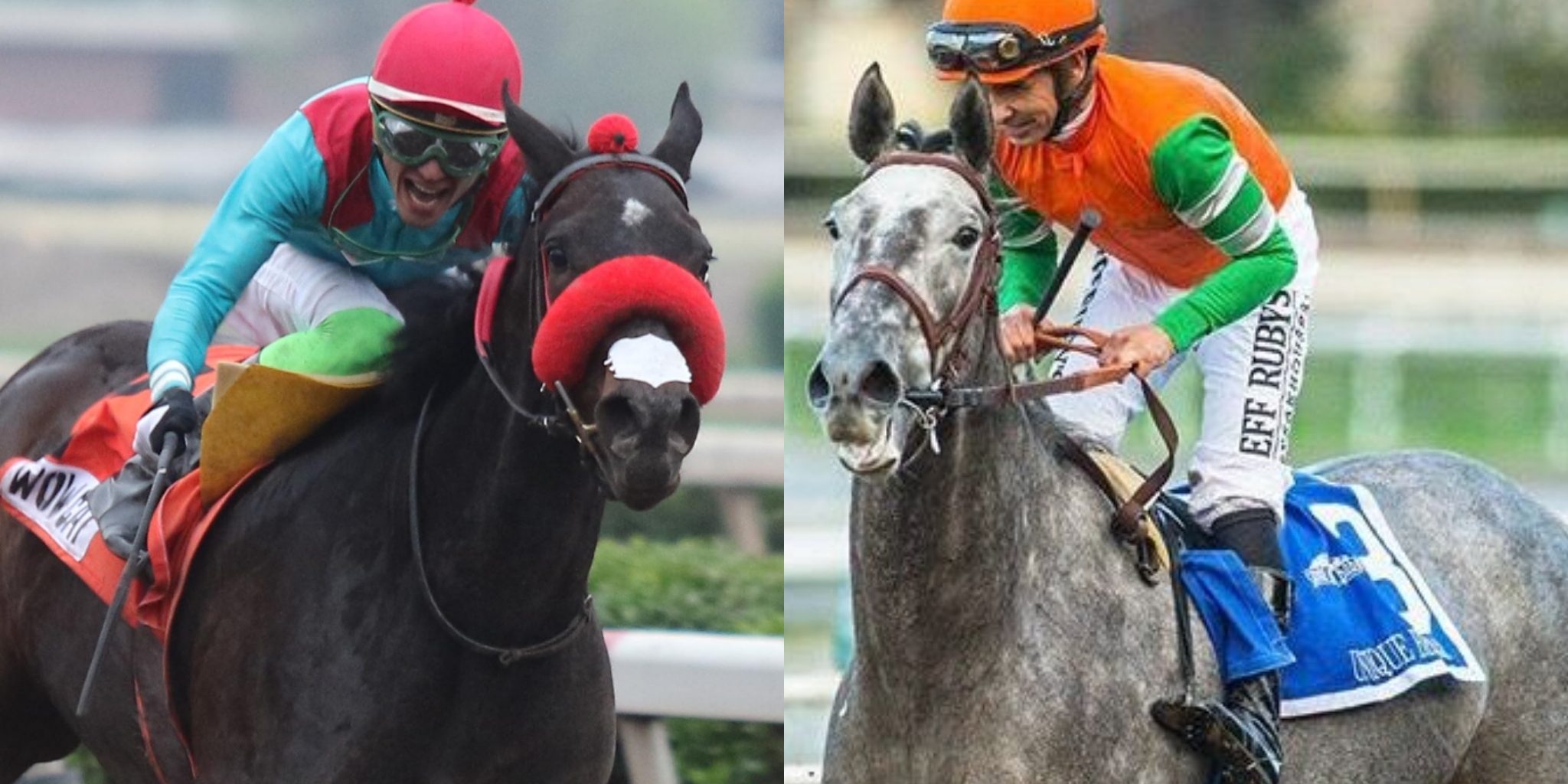 Wow Cat-Unique Bella