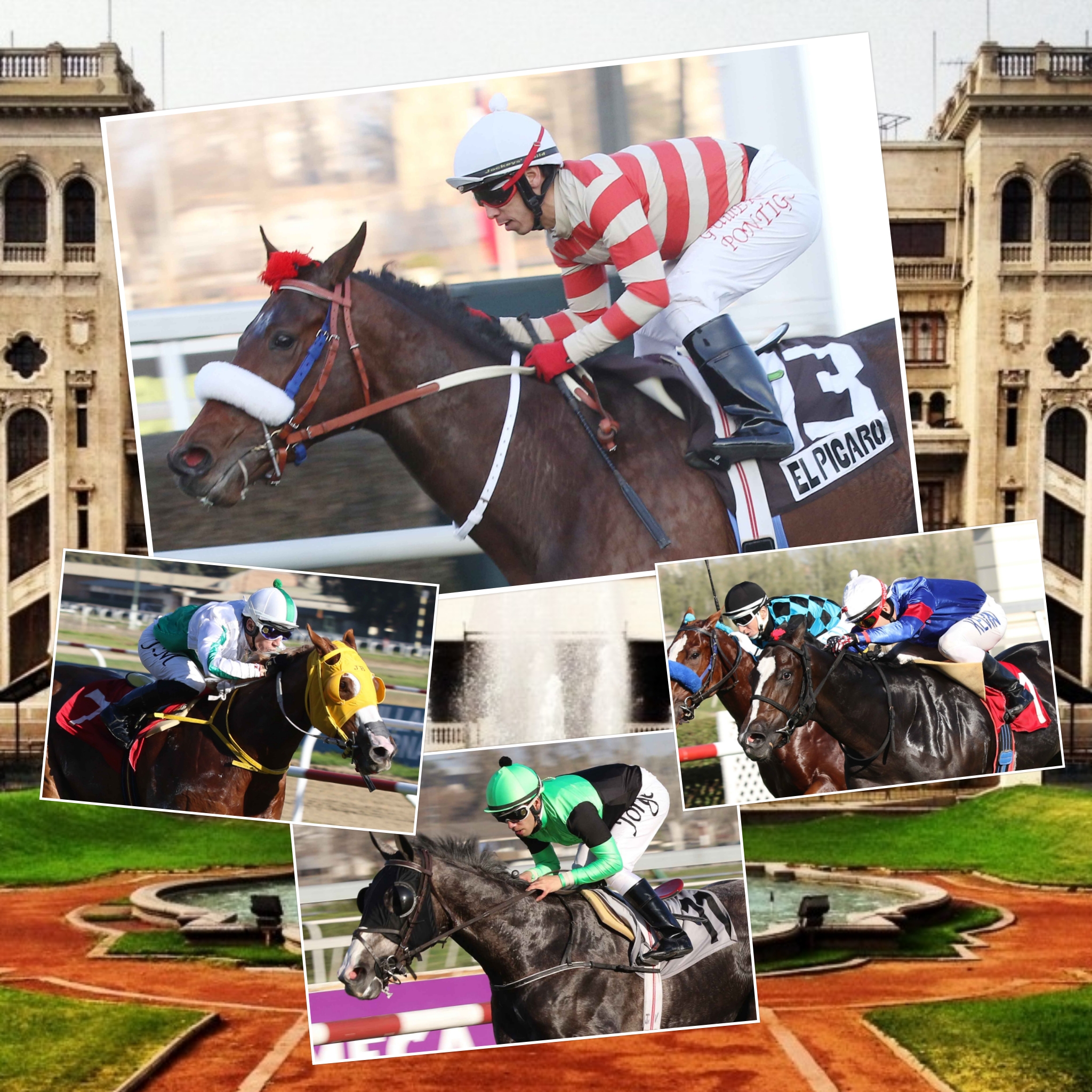 El Ensayo 2018 collage