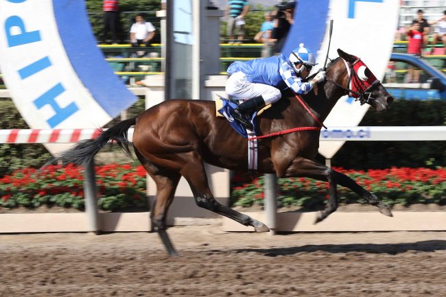 Bella Khaleesi Haras de Chile