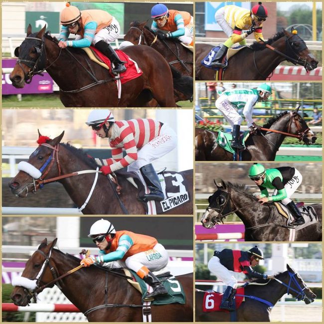 Latino 2019 pre inscritos collage