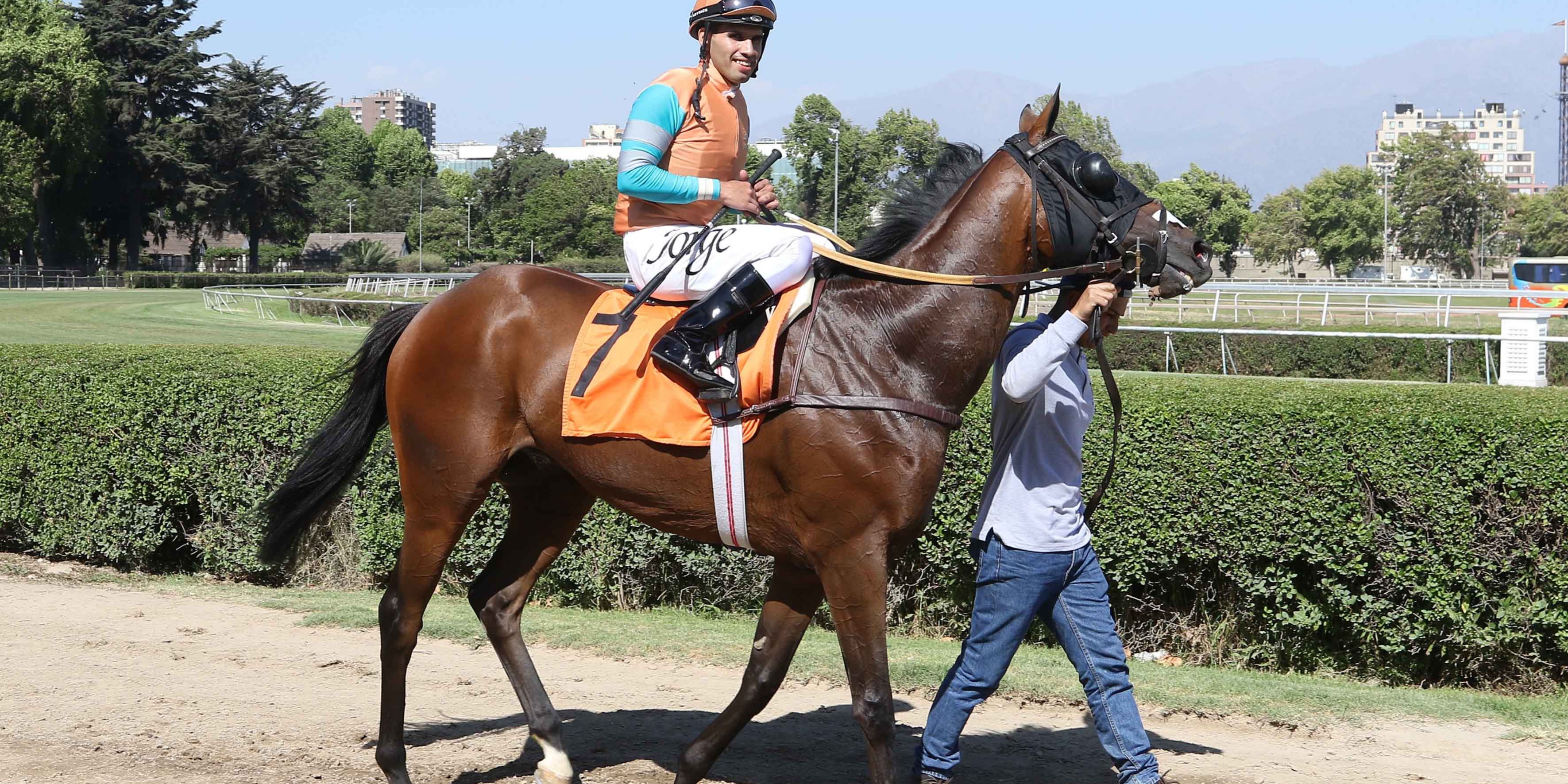 Nuevo Maestro La Copa