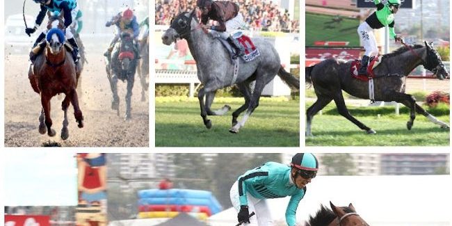 Collage El Derby 2019