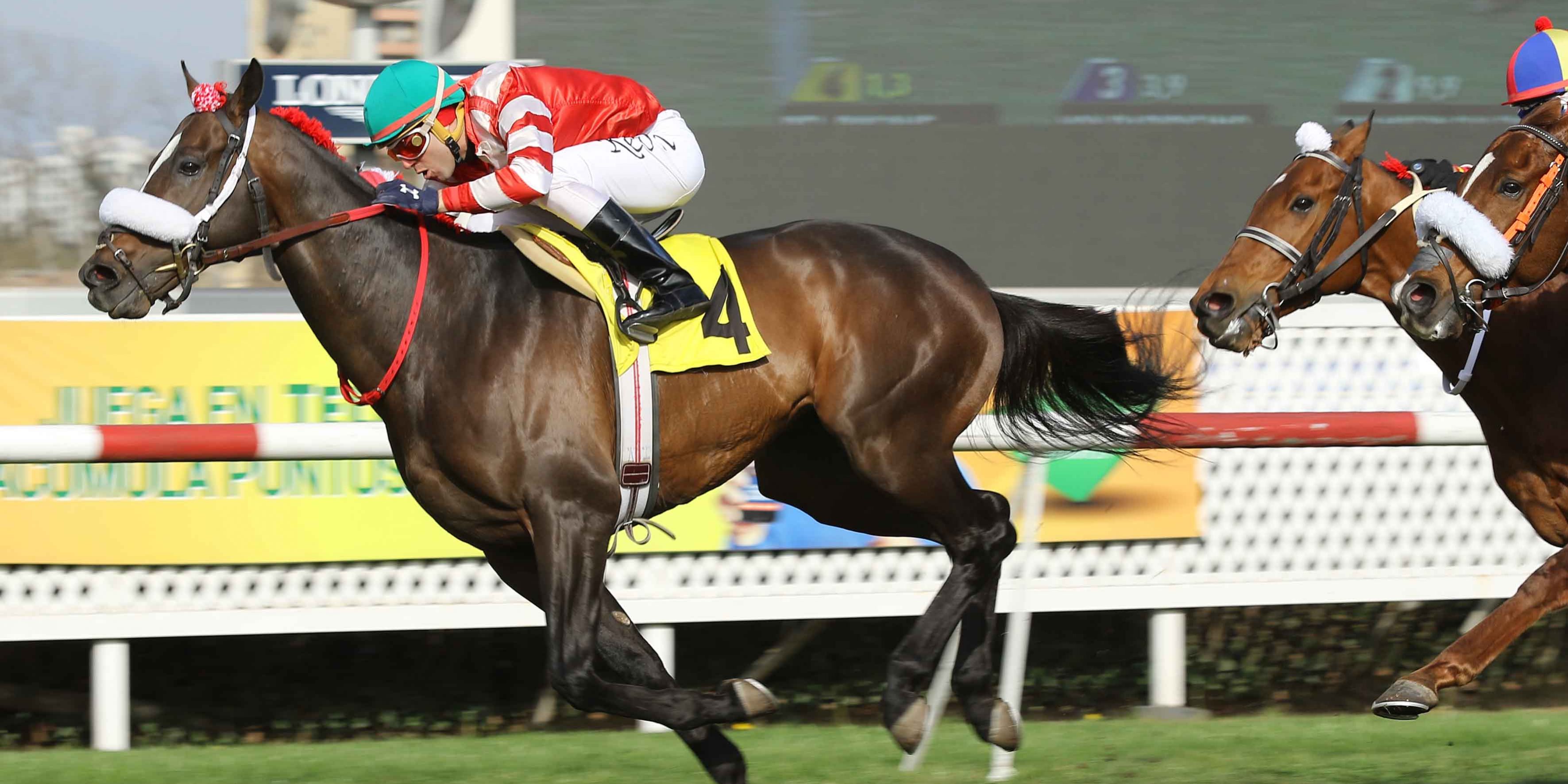 Del Bosque 21 clásicos