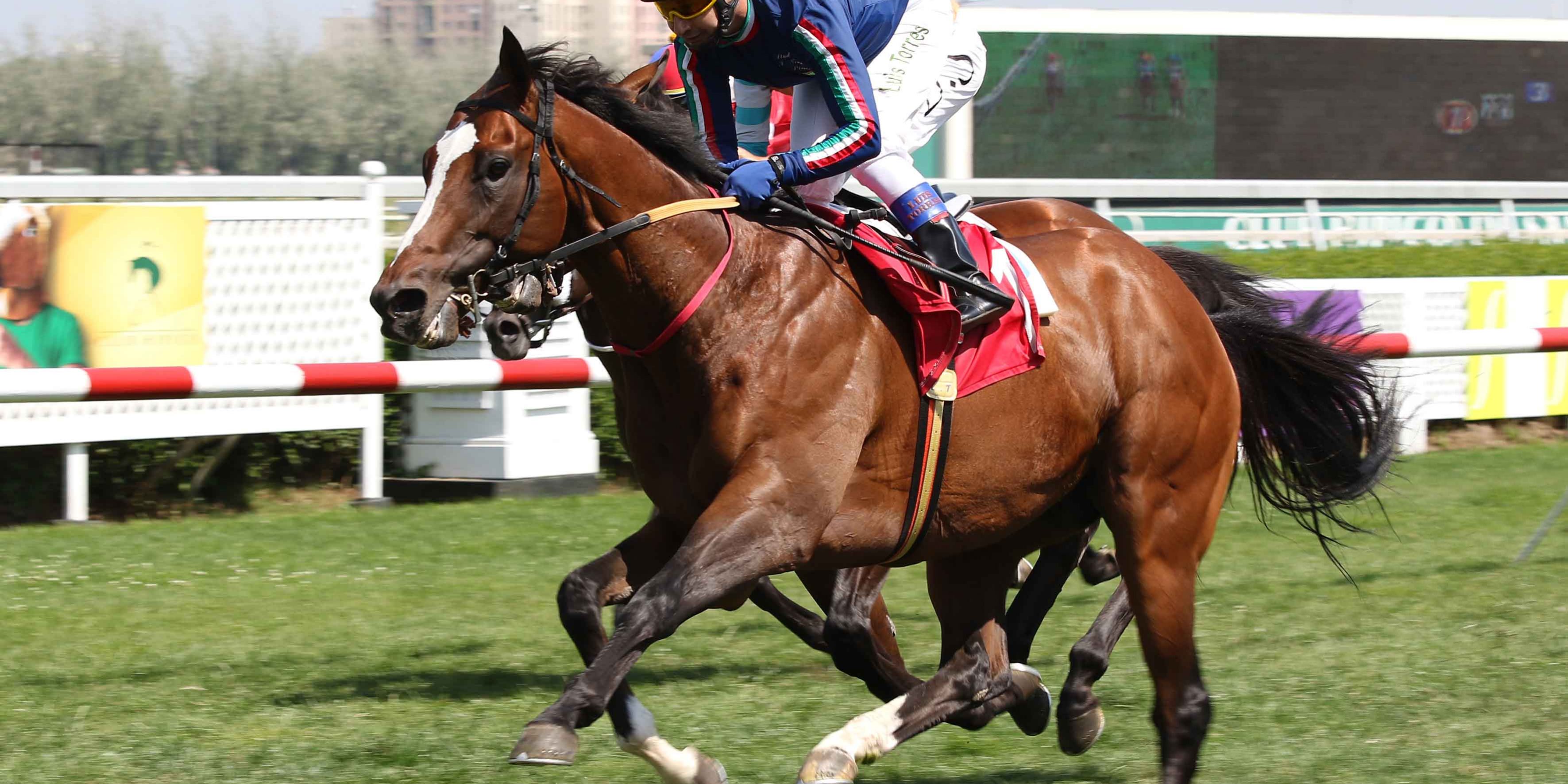 Larco Vamos a la Hípica