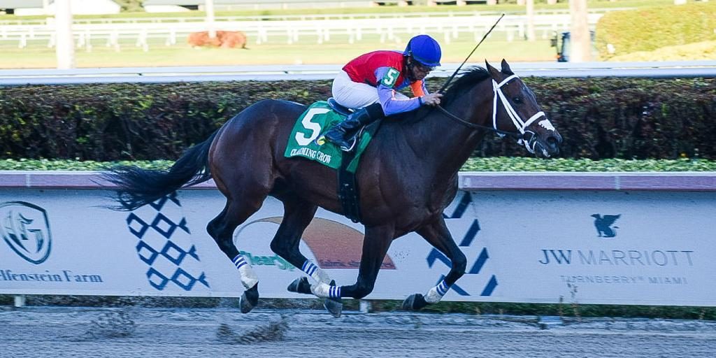 Leitone clásico USA