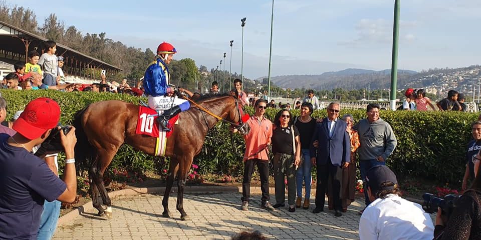 Free Mandate Copa Jackson