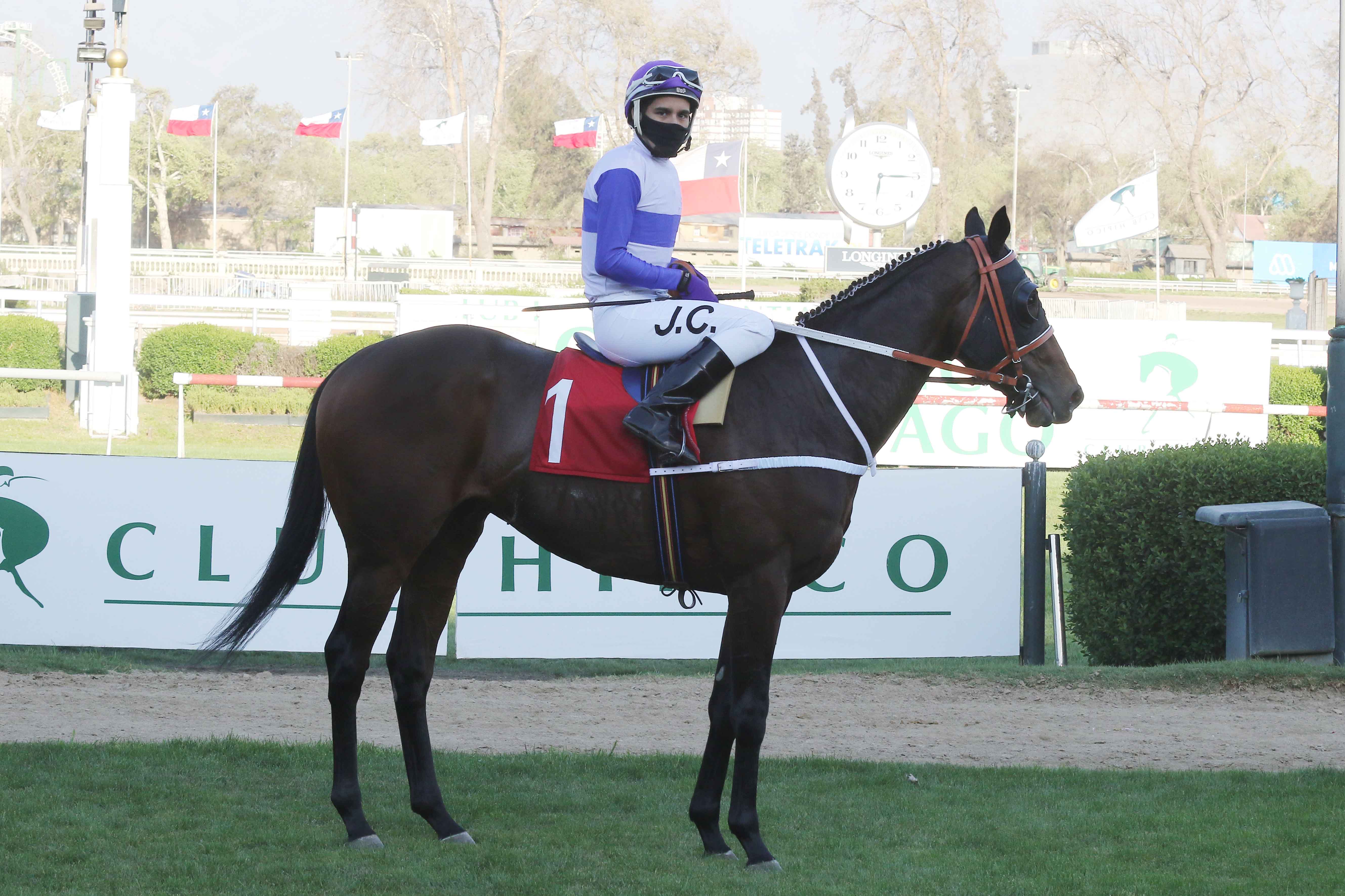 Jonathan Castillo 2020